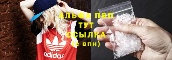 гашик Алексин