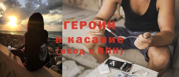 гашик Алексин