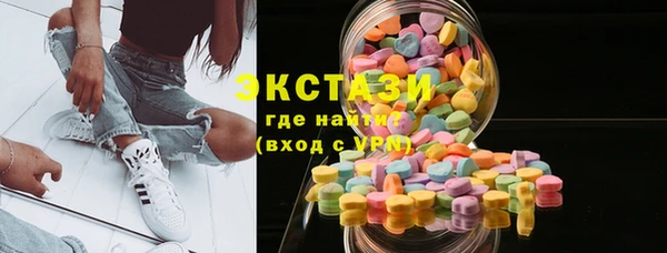 гашик Алексин