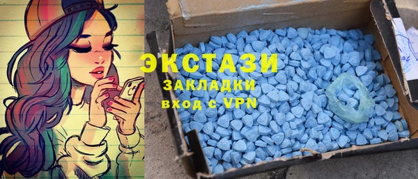 гашик Алексин