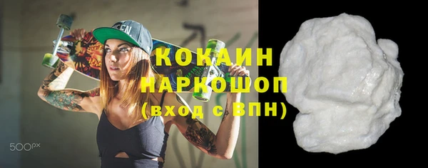 гашик Алексин