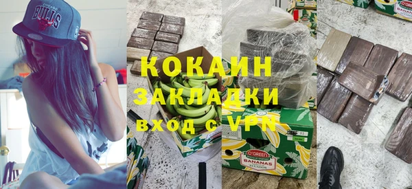 гашик Алексин