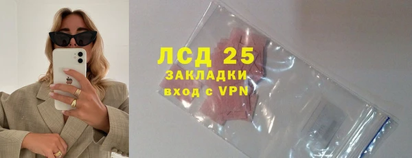 гашик Алексин