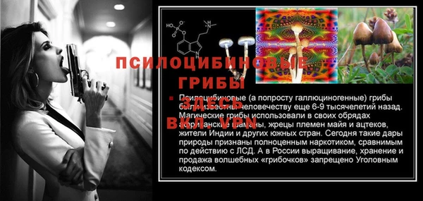 гашик Алексин