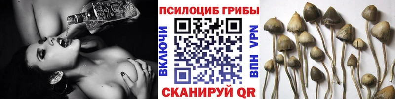 купить закладку  Алупка  Галлюциногенные грибы мухоморы 